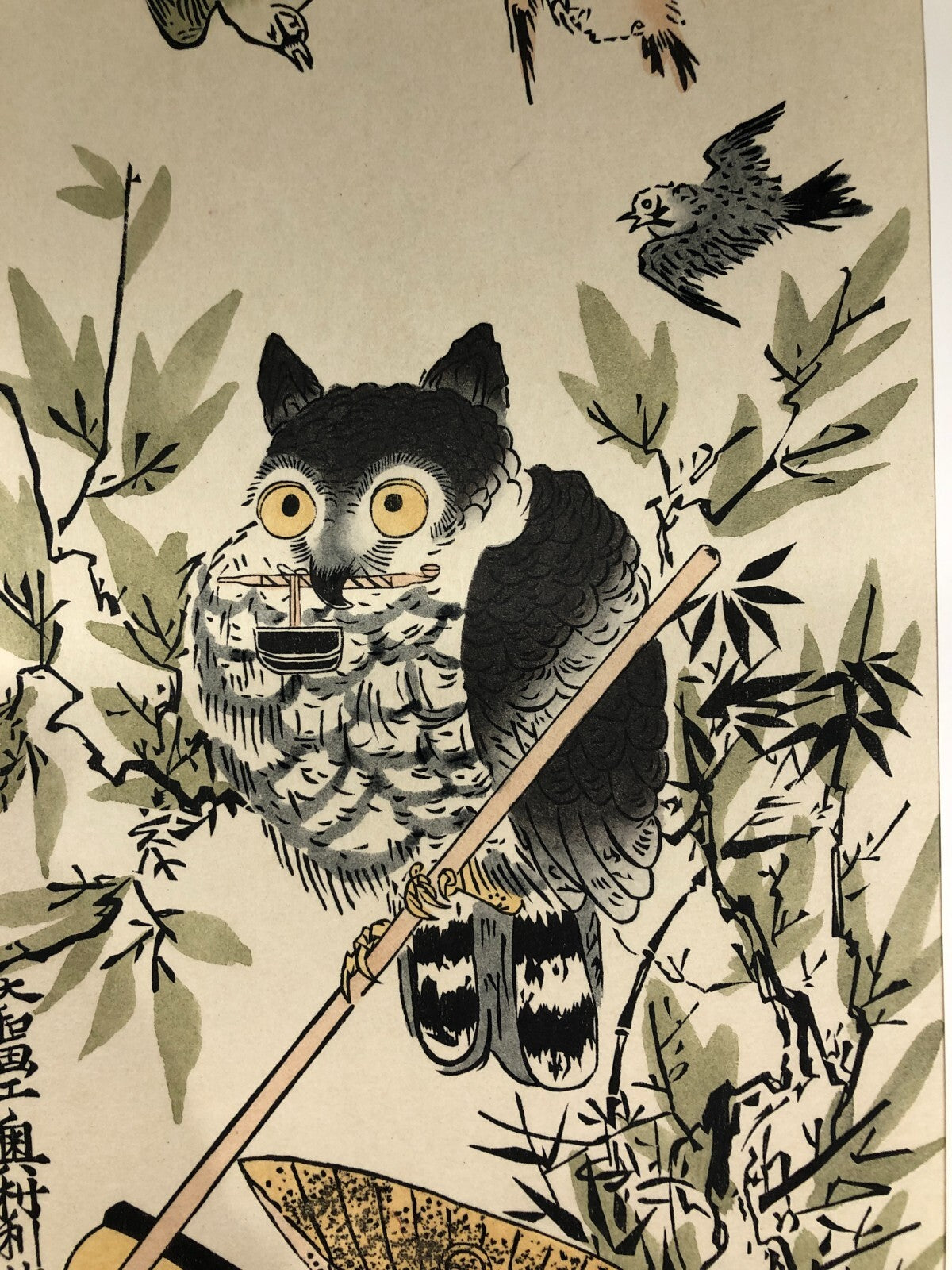 Image #5