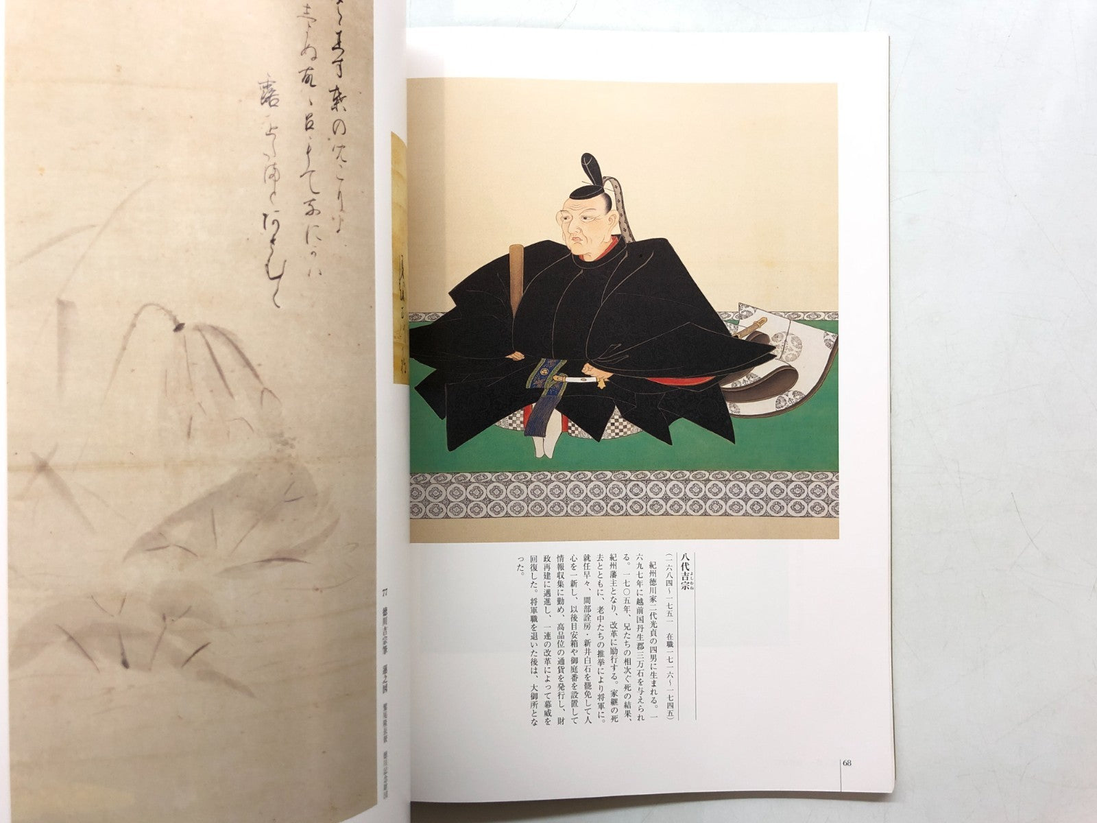 Image #8