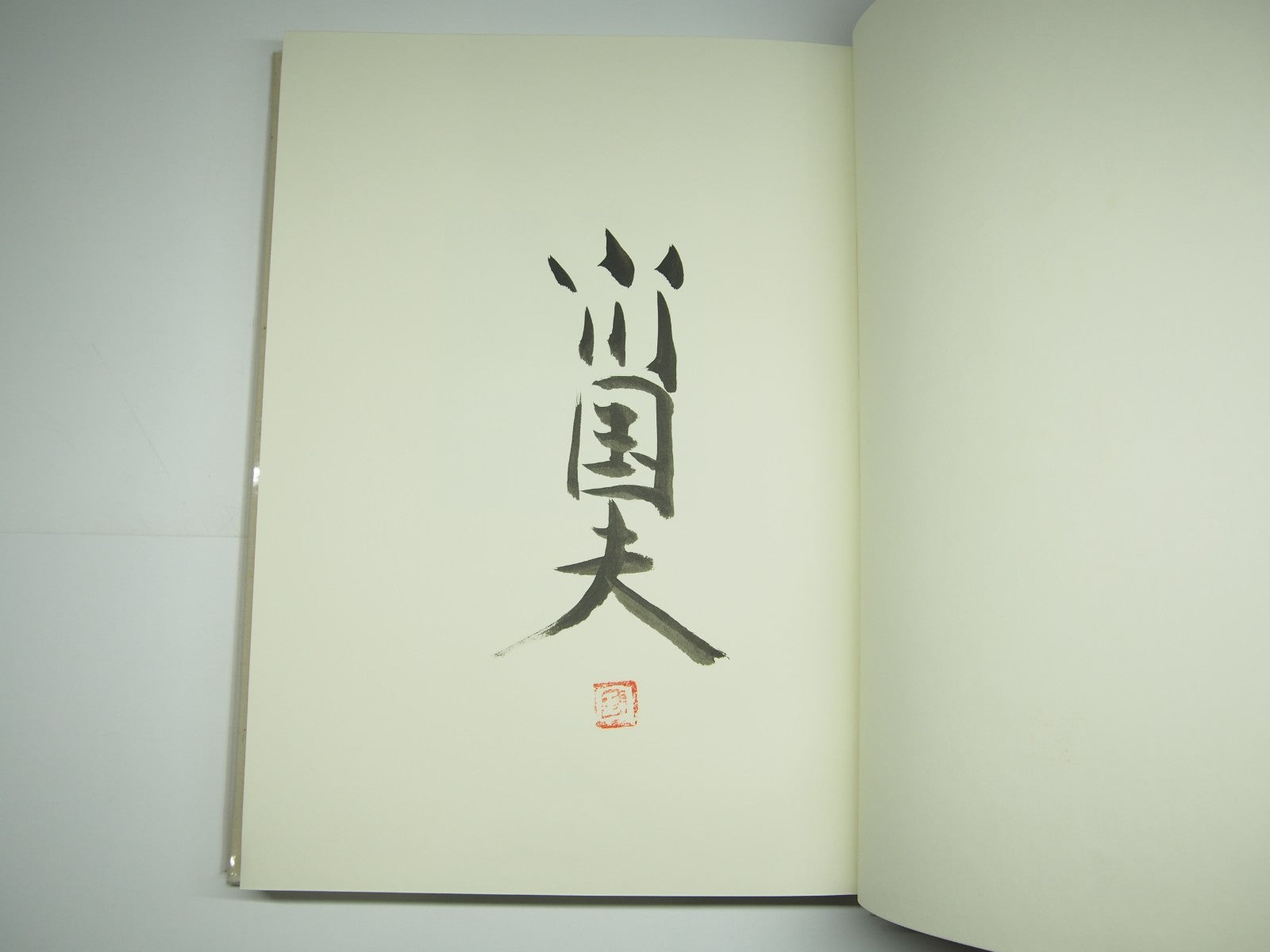 Image #8