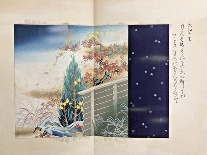 Image #11