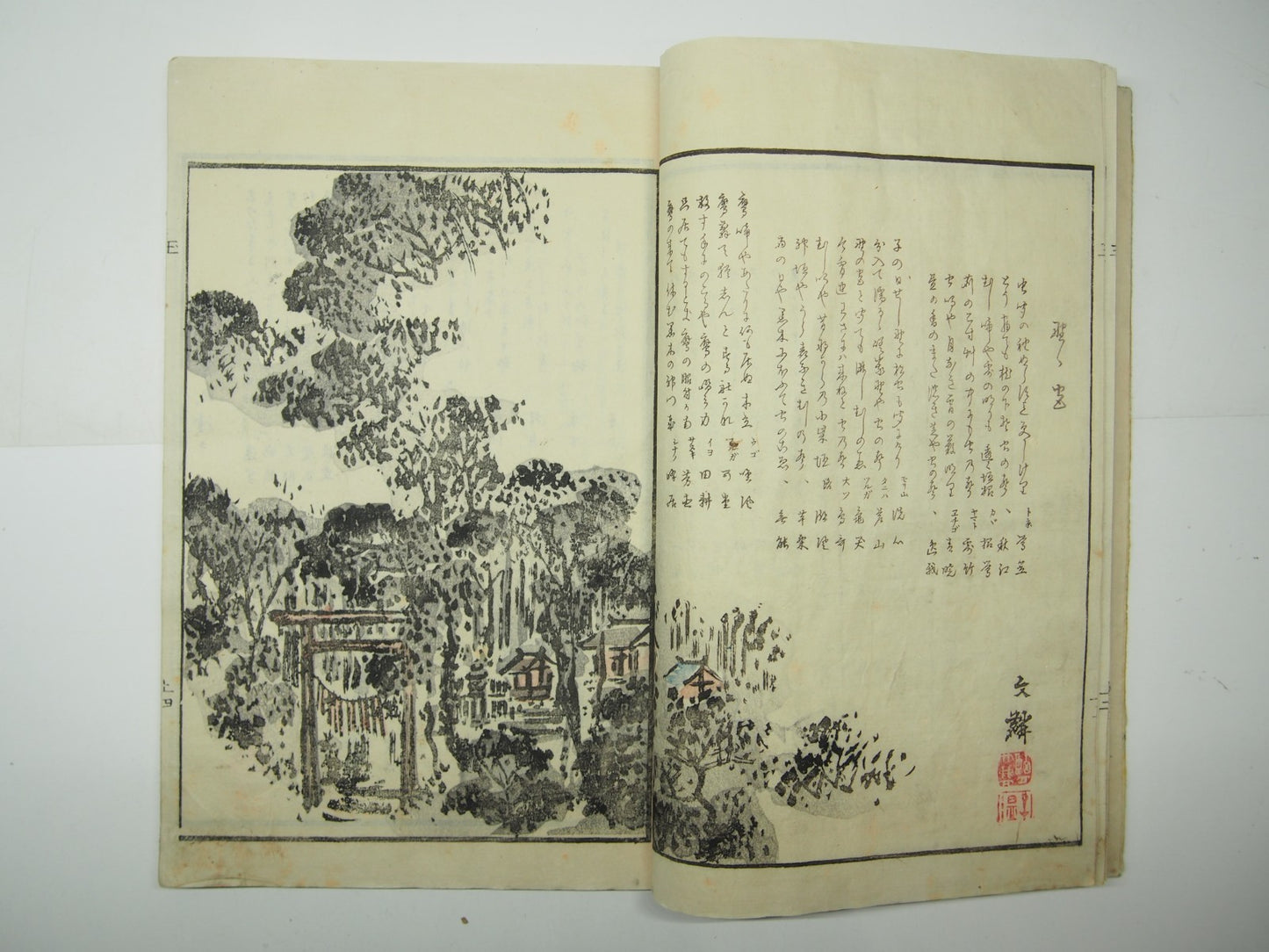 Image #8