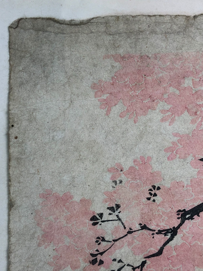 Image #15