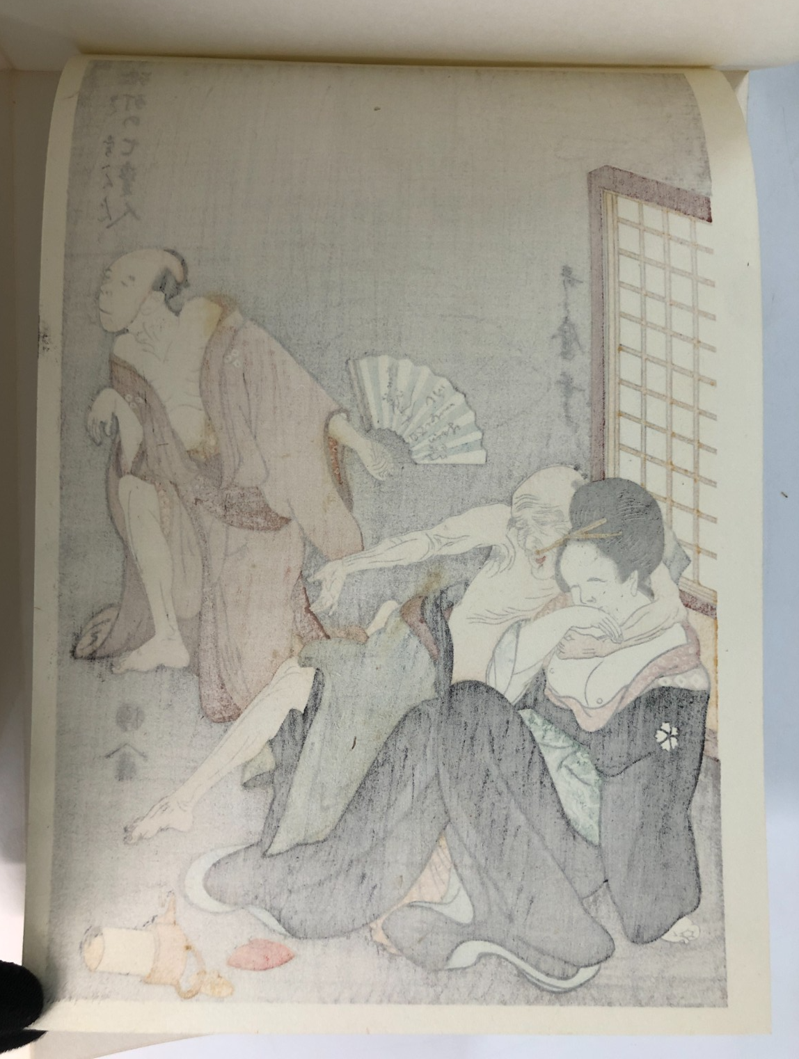 Image #8