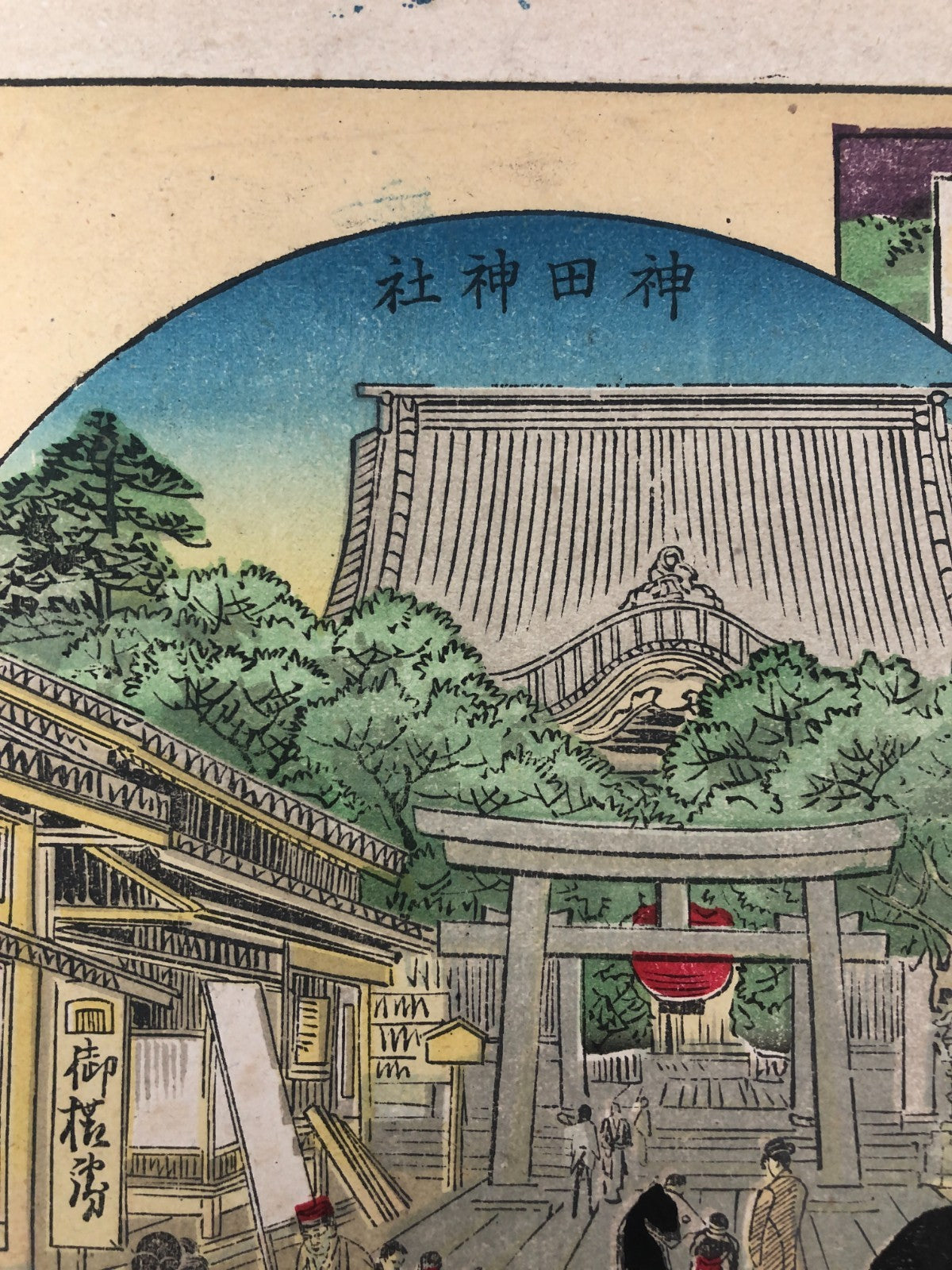 Image #7
