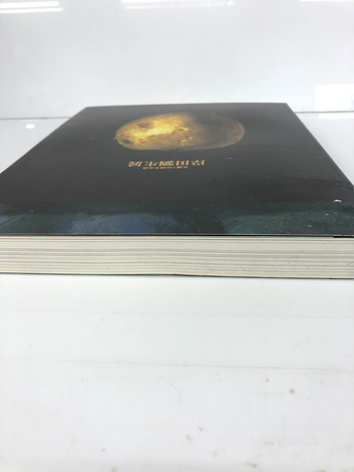 Image #2