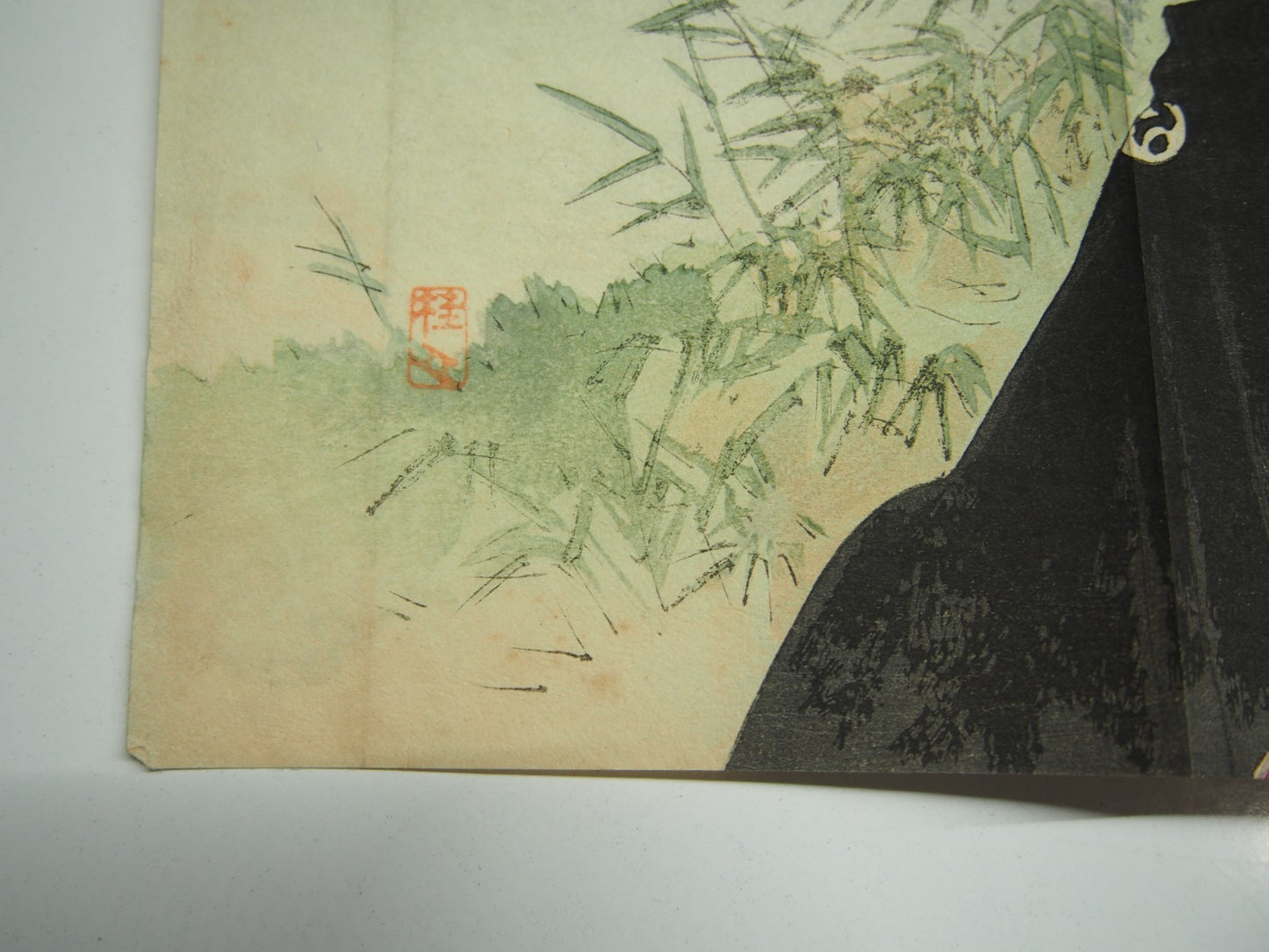 Image #7