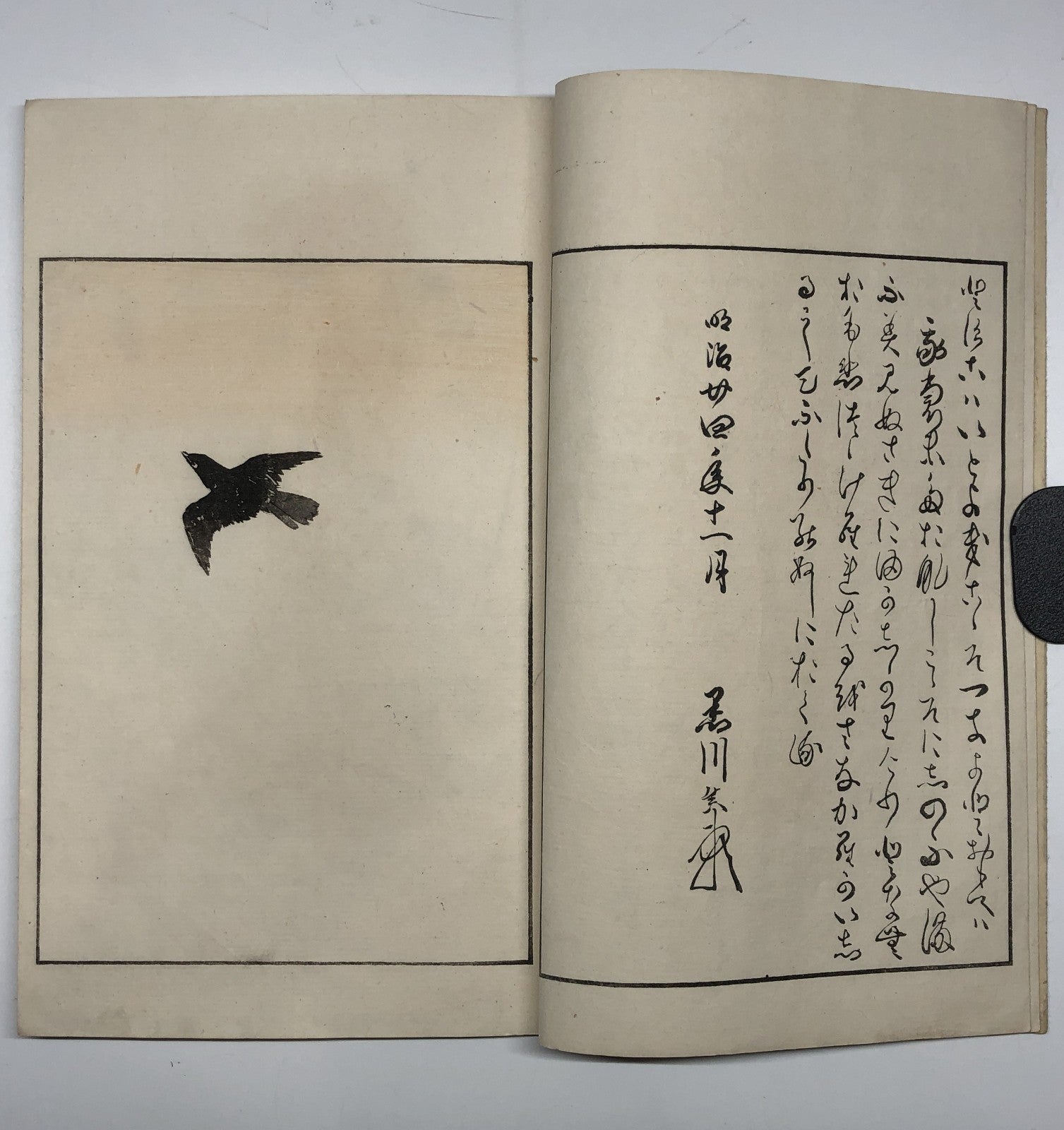 Image #10
