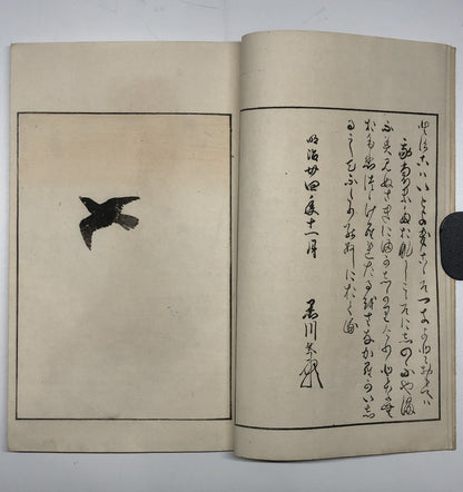 Image #10
