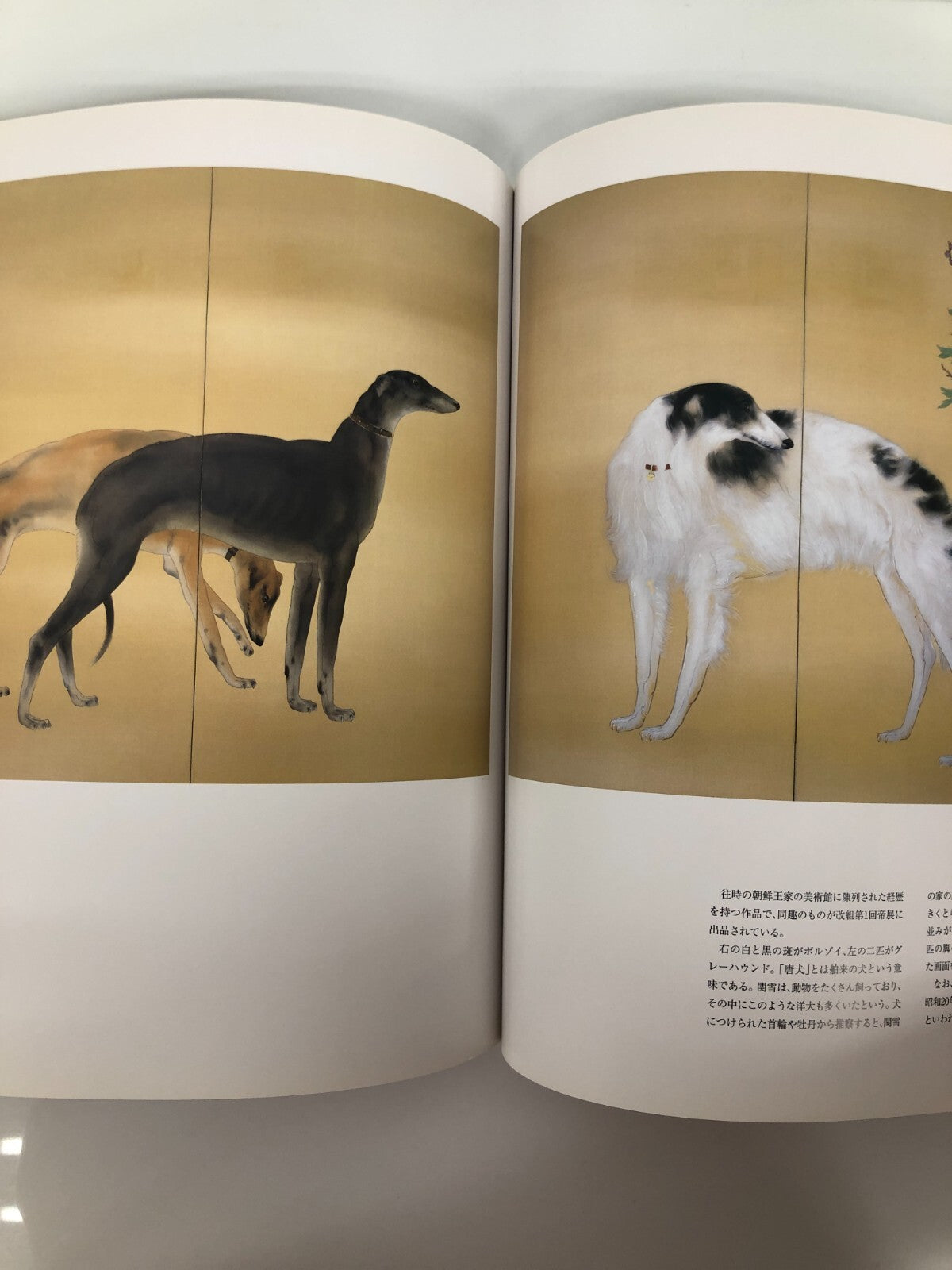 Image #4