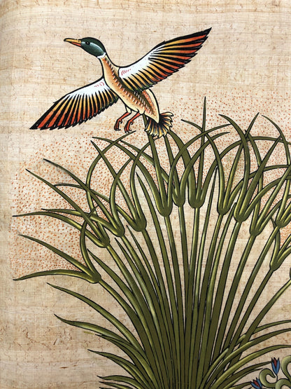 Image #24