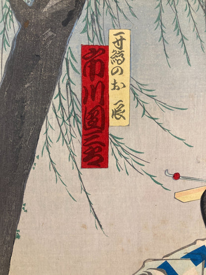 Image #15