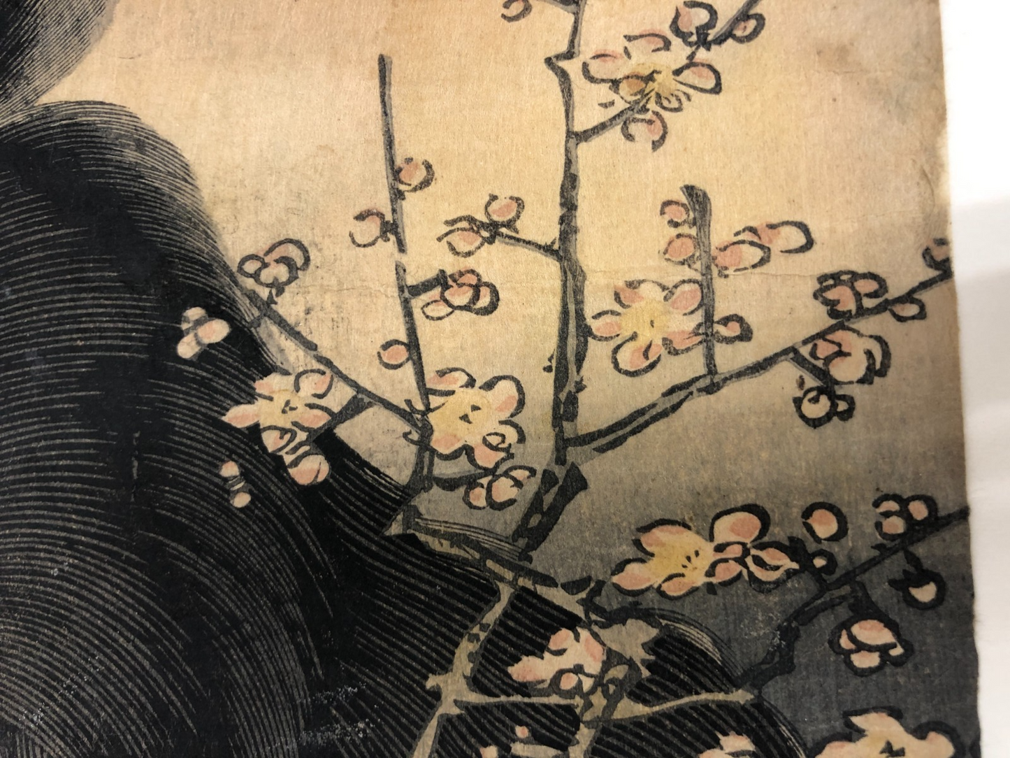 Image #12