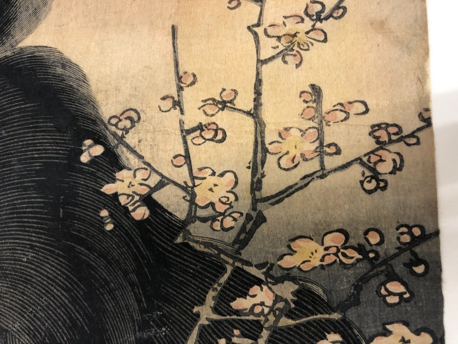 Image #12