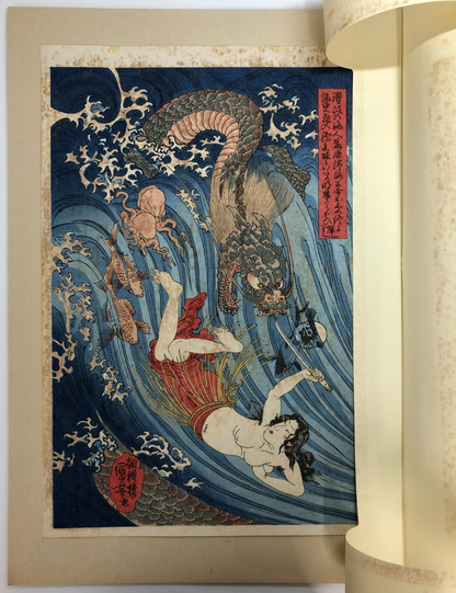 Image #5