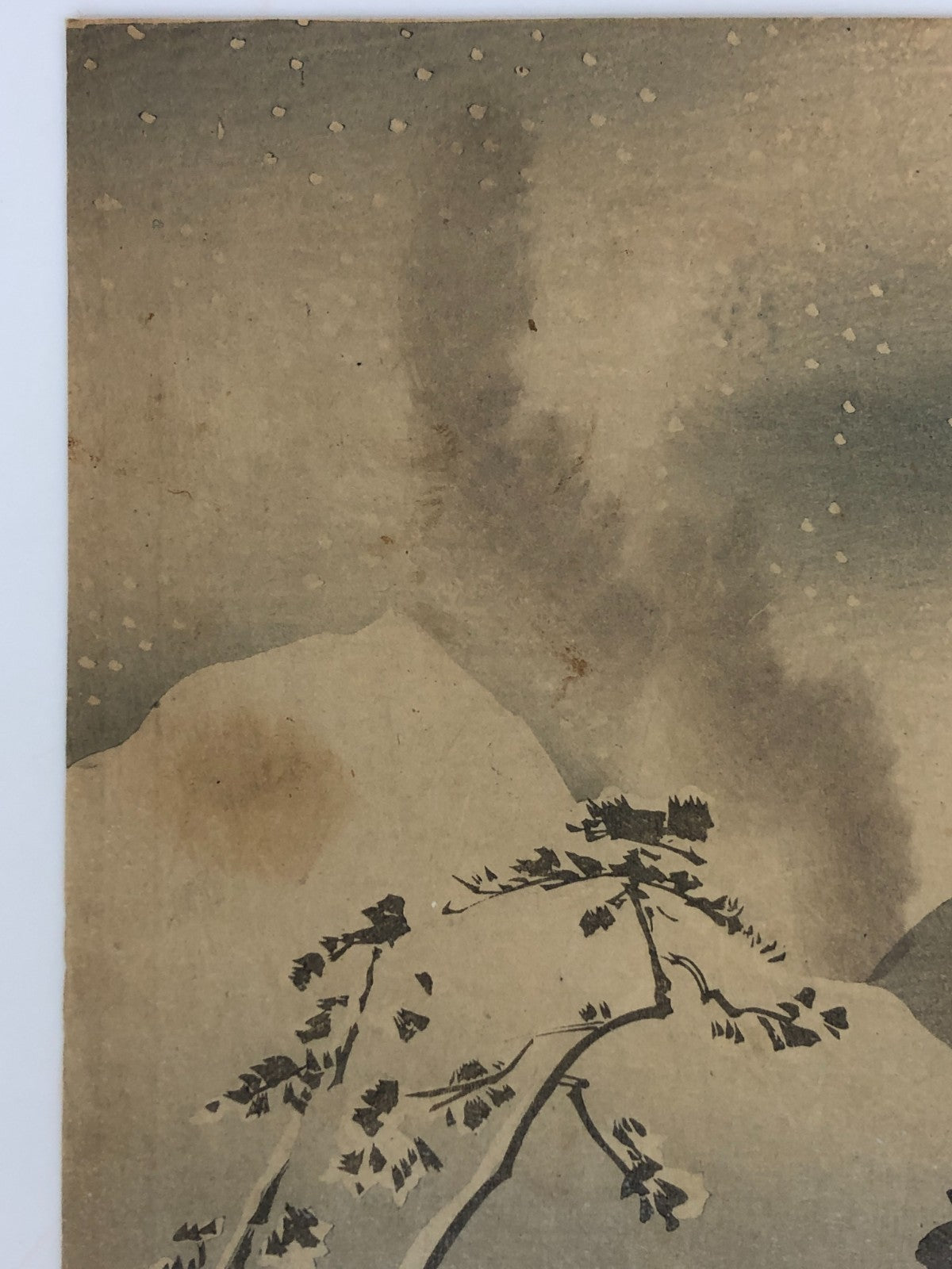 Image #17
