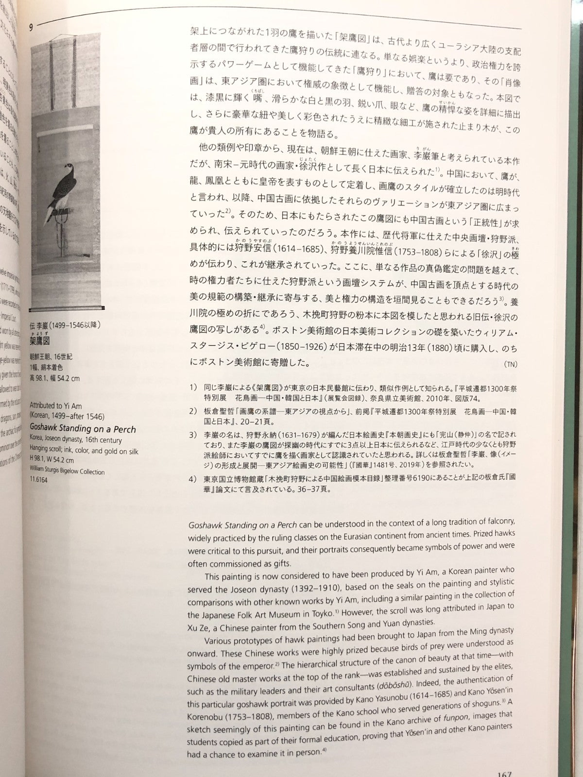 Image #11