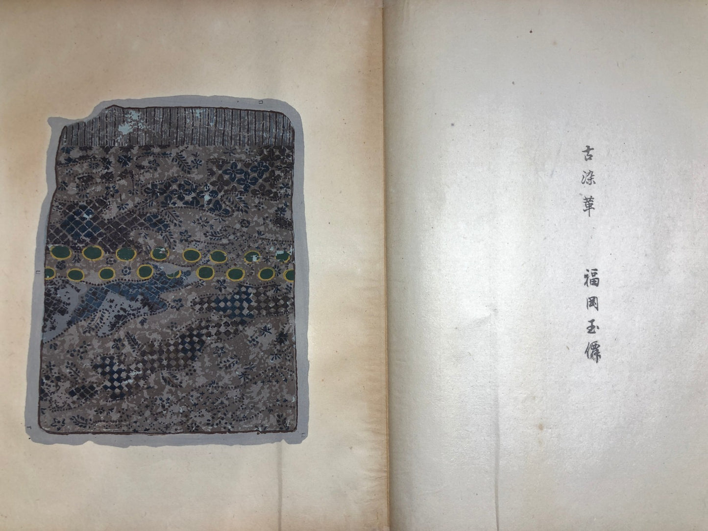 Image #12