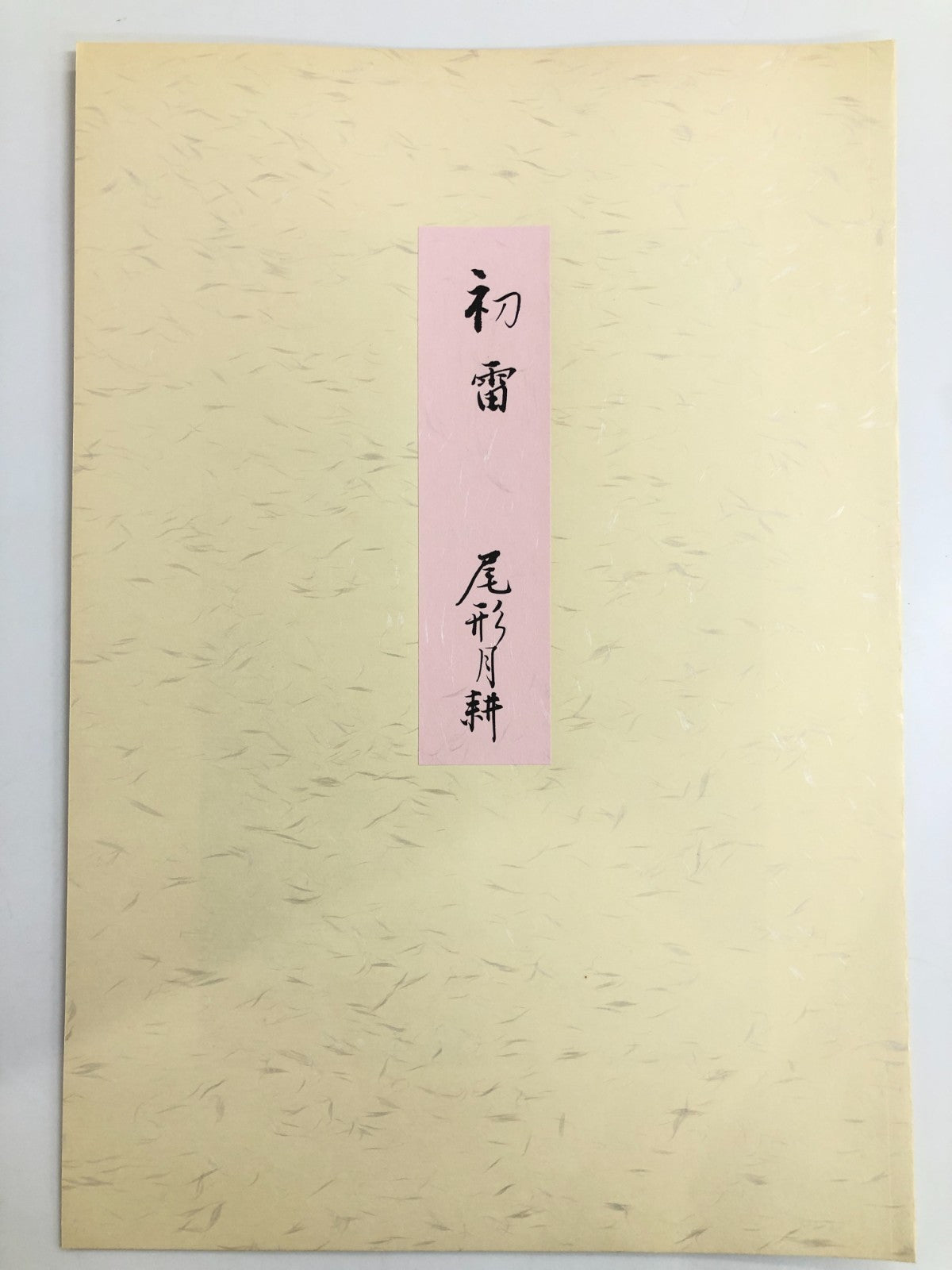 Image #2