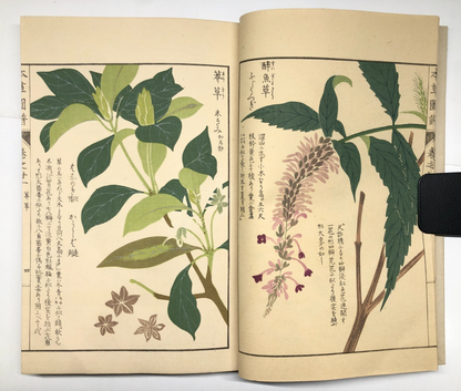 Image #11
