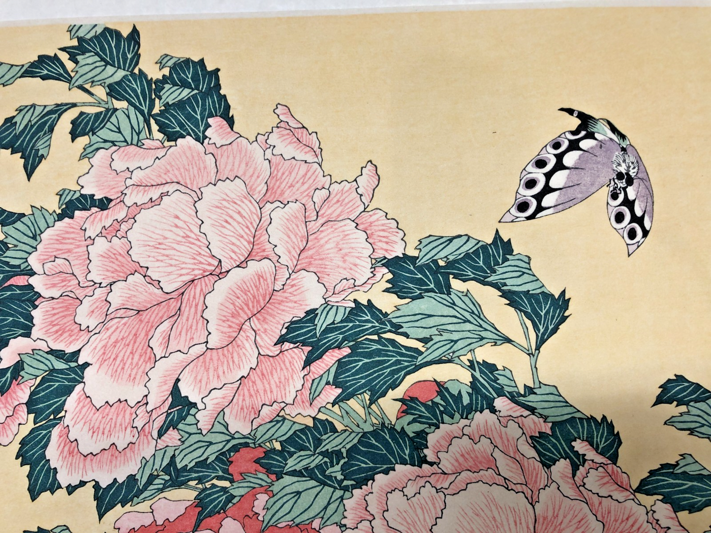 Image #7