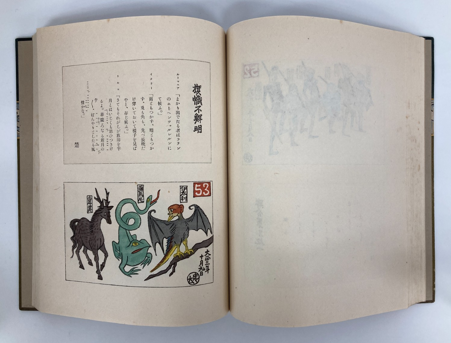 Image #12