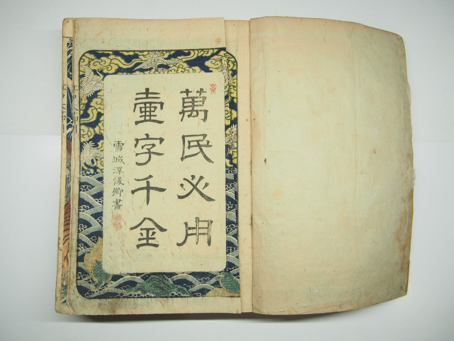 Image #5