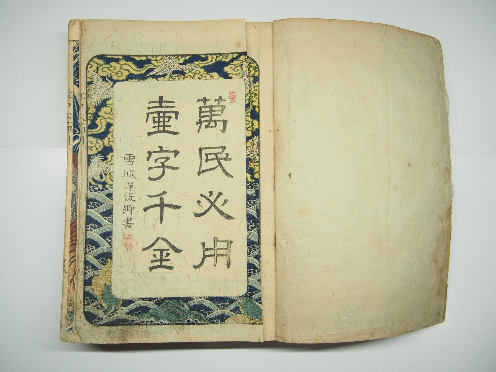 Image #5