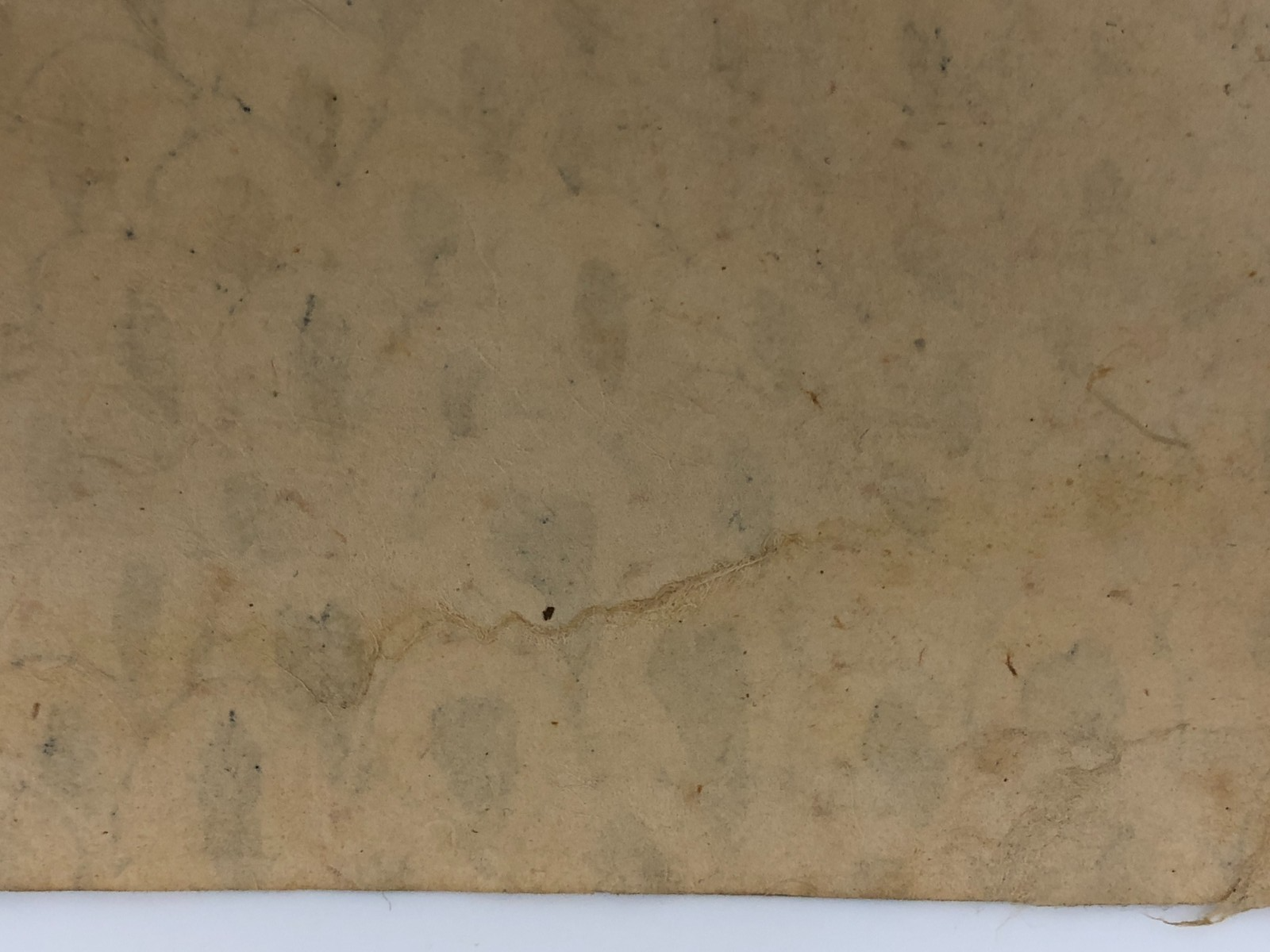 Image #14