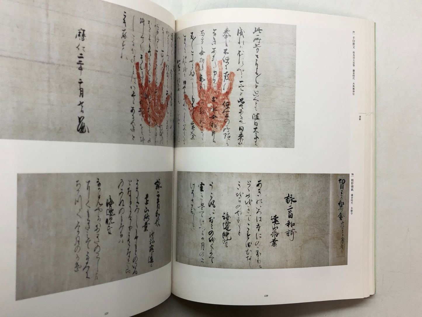 Image #7