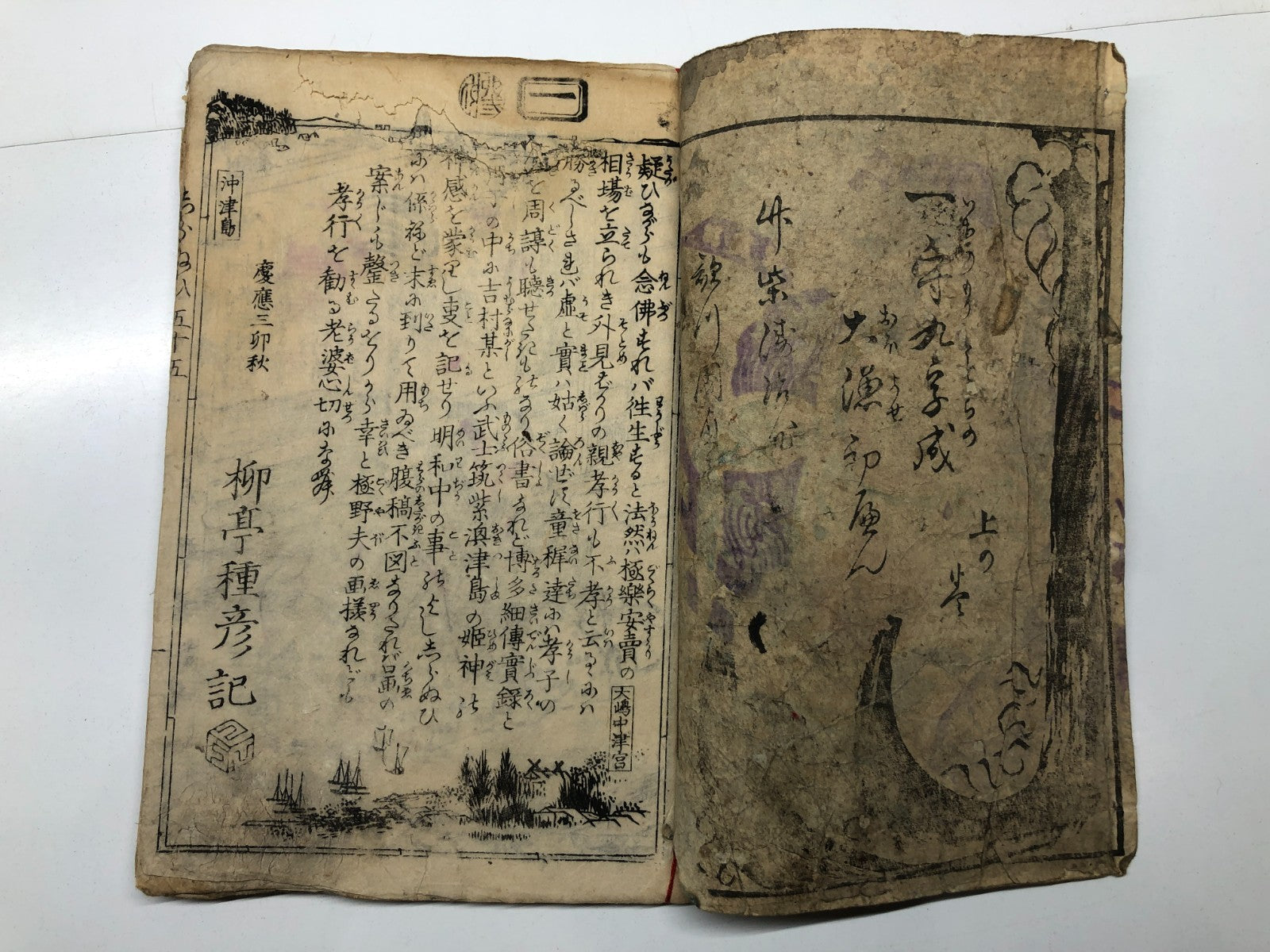 Image #8