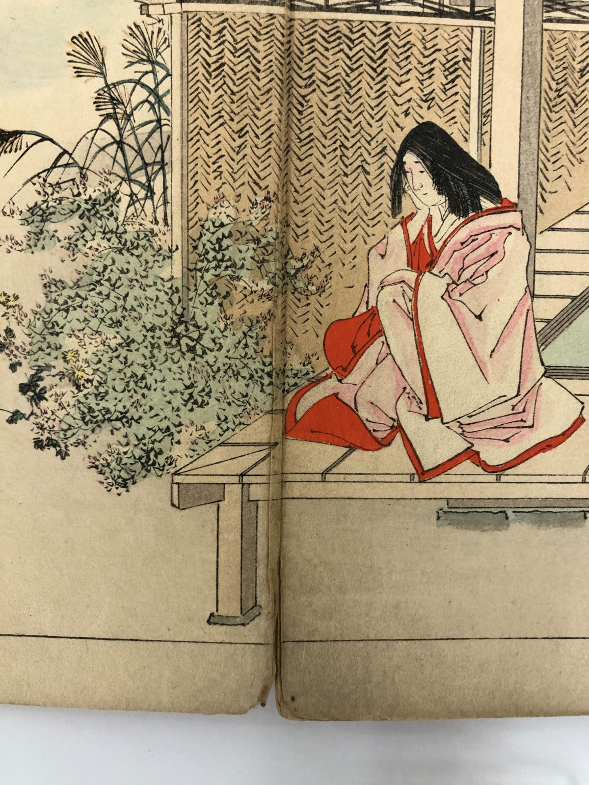 Image #5