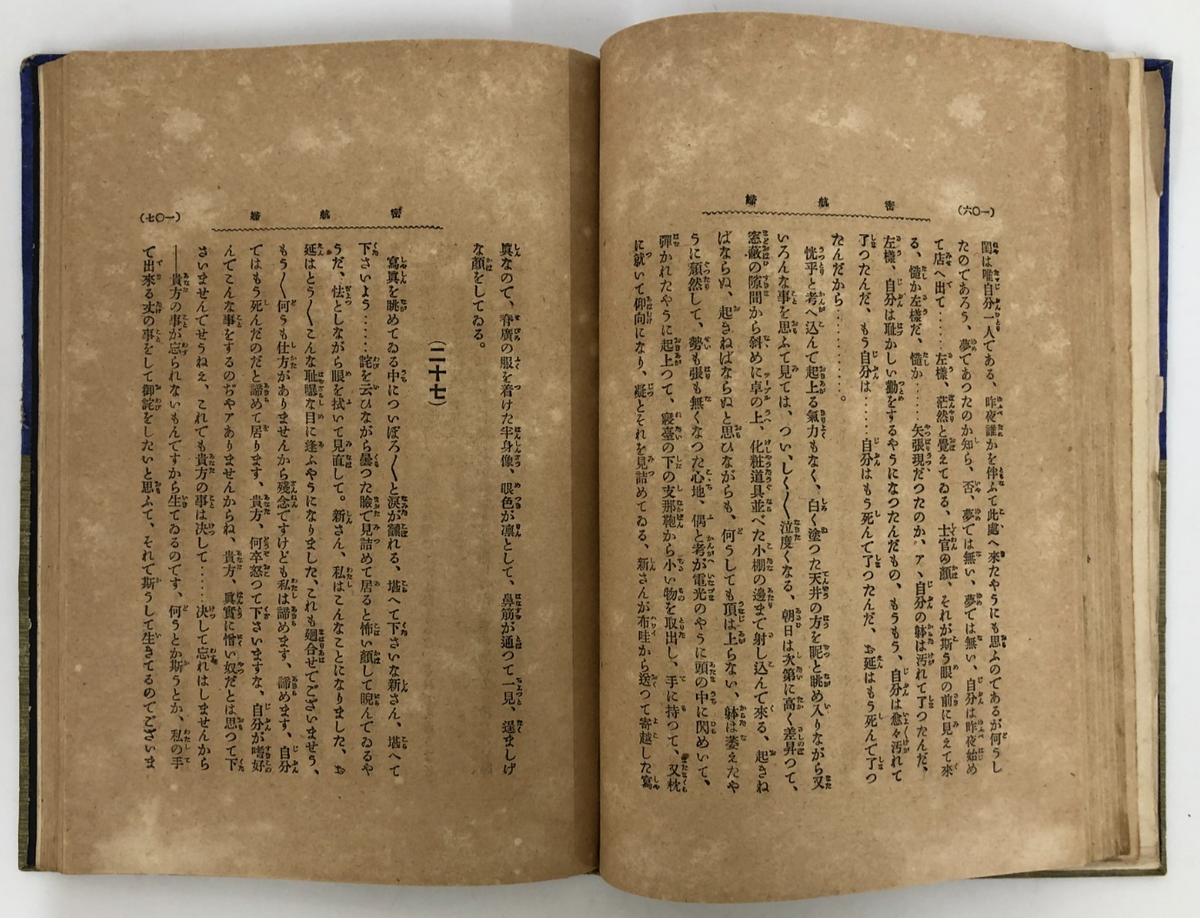 Image #12