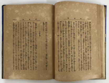 Image #12