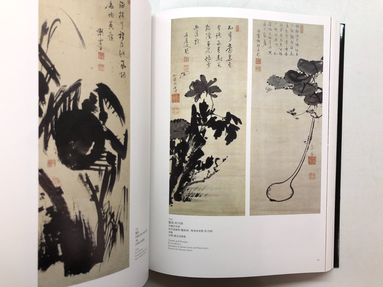Image #8