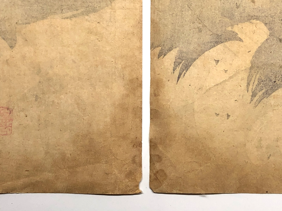 Image #24