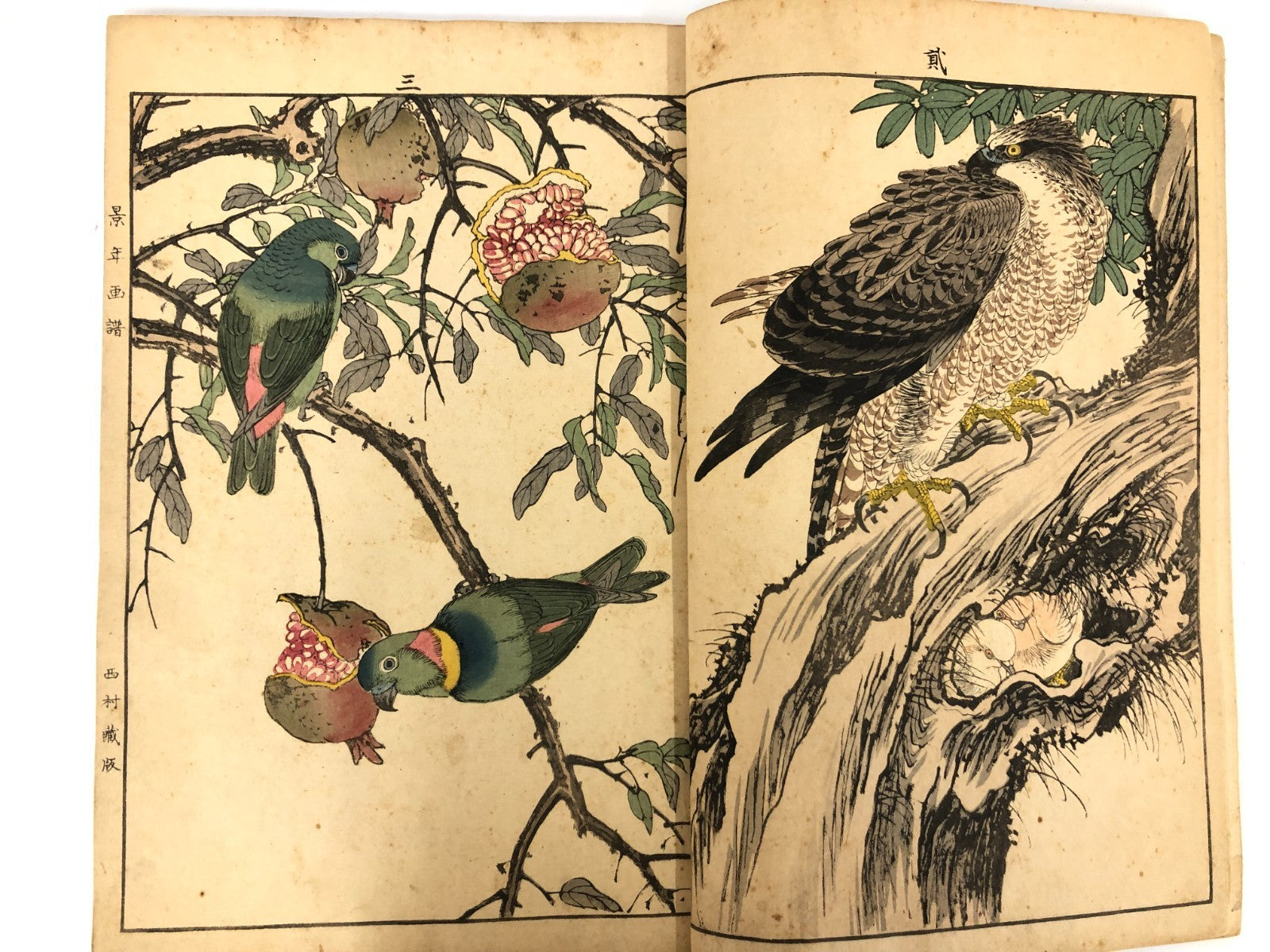 Image #12