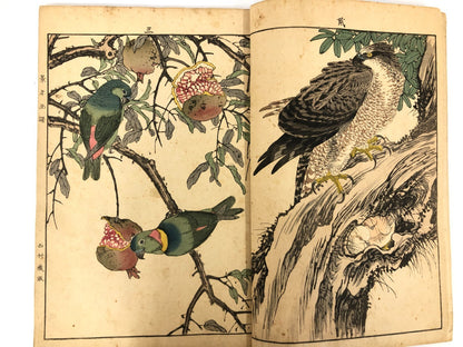Image #12