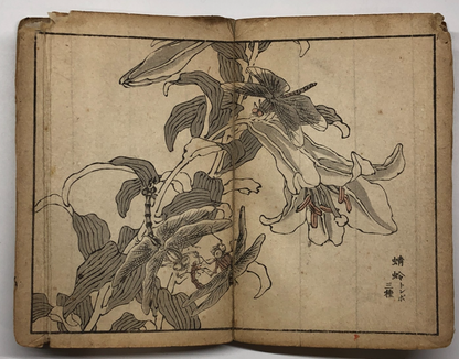 Image #8