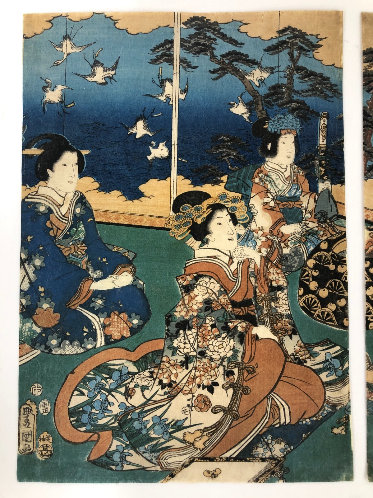 Image #5