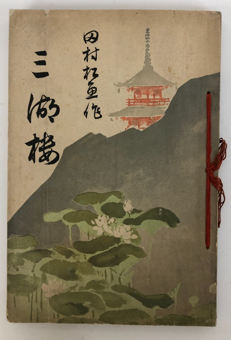 Image #8