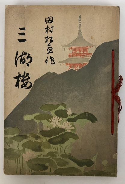 Image #8