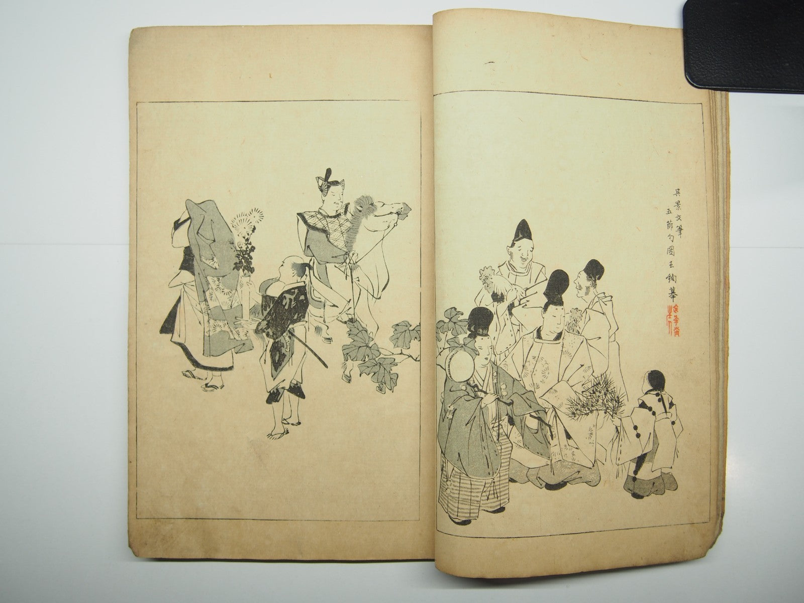 Image #8