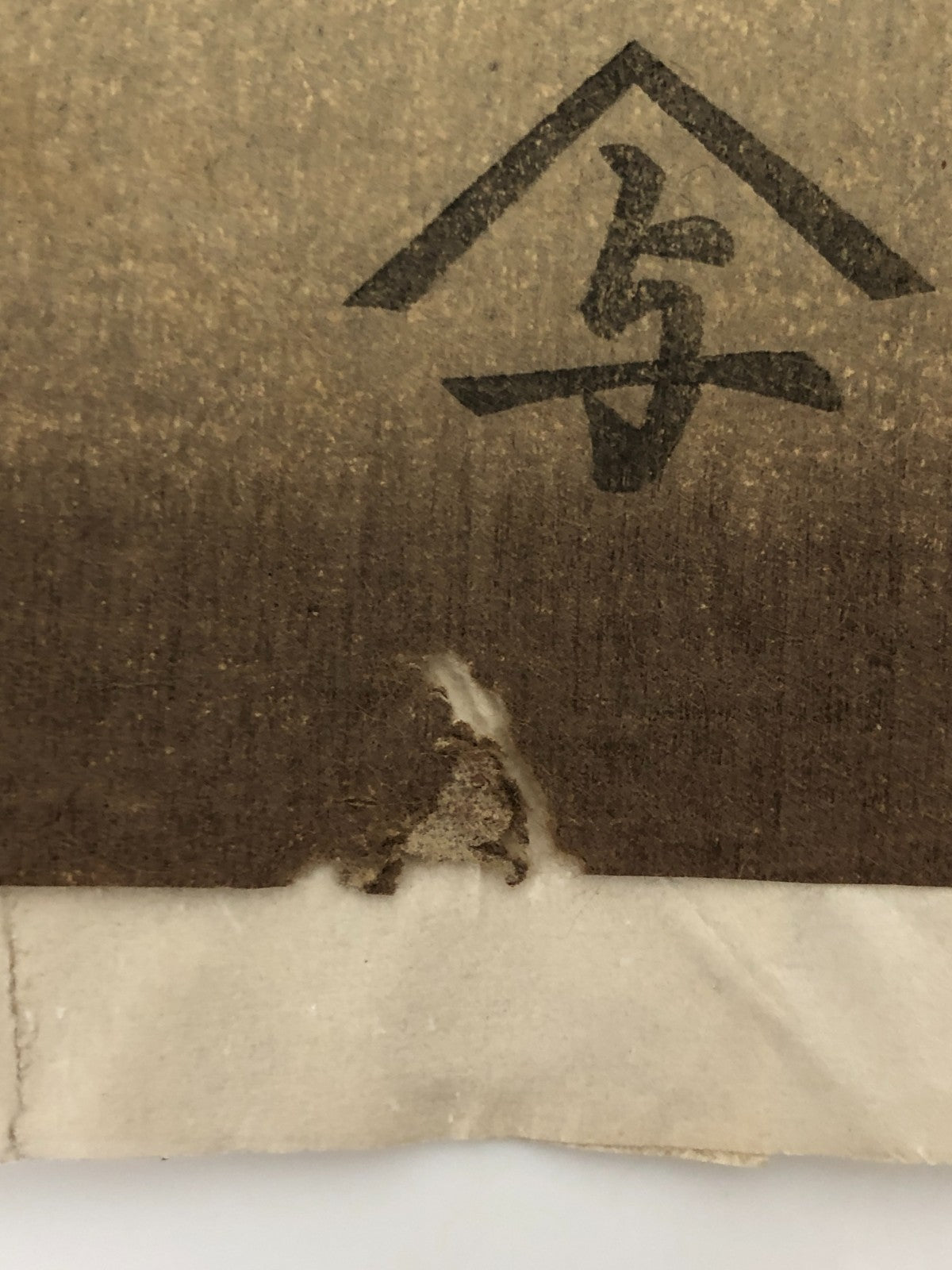 Image #12