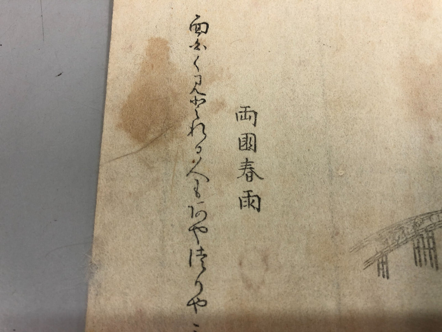 Image #10