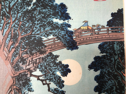 Image #14