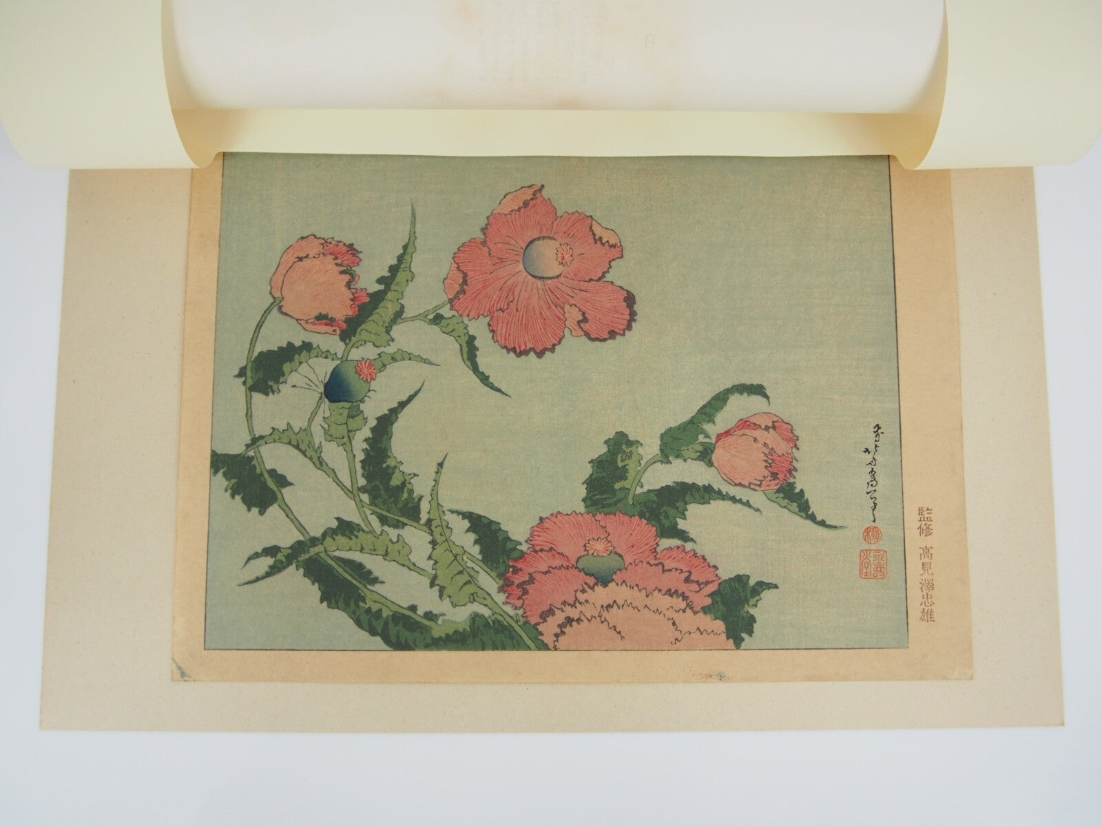 Image #3