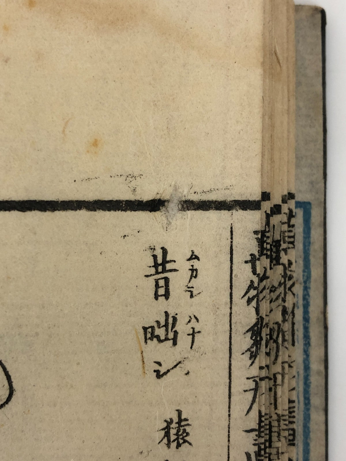 Image #22