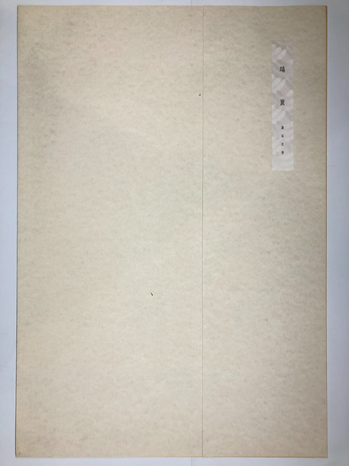 Image #8