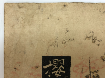 Image #12