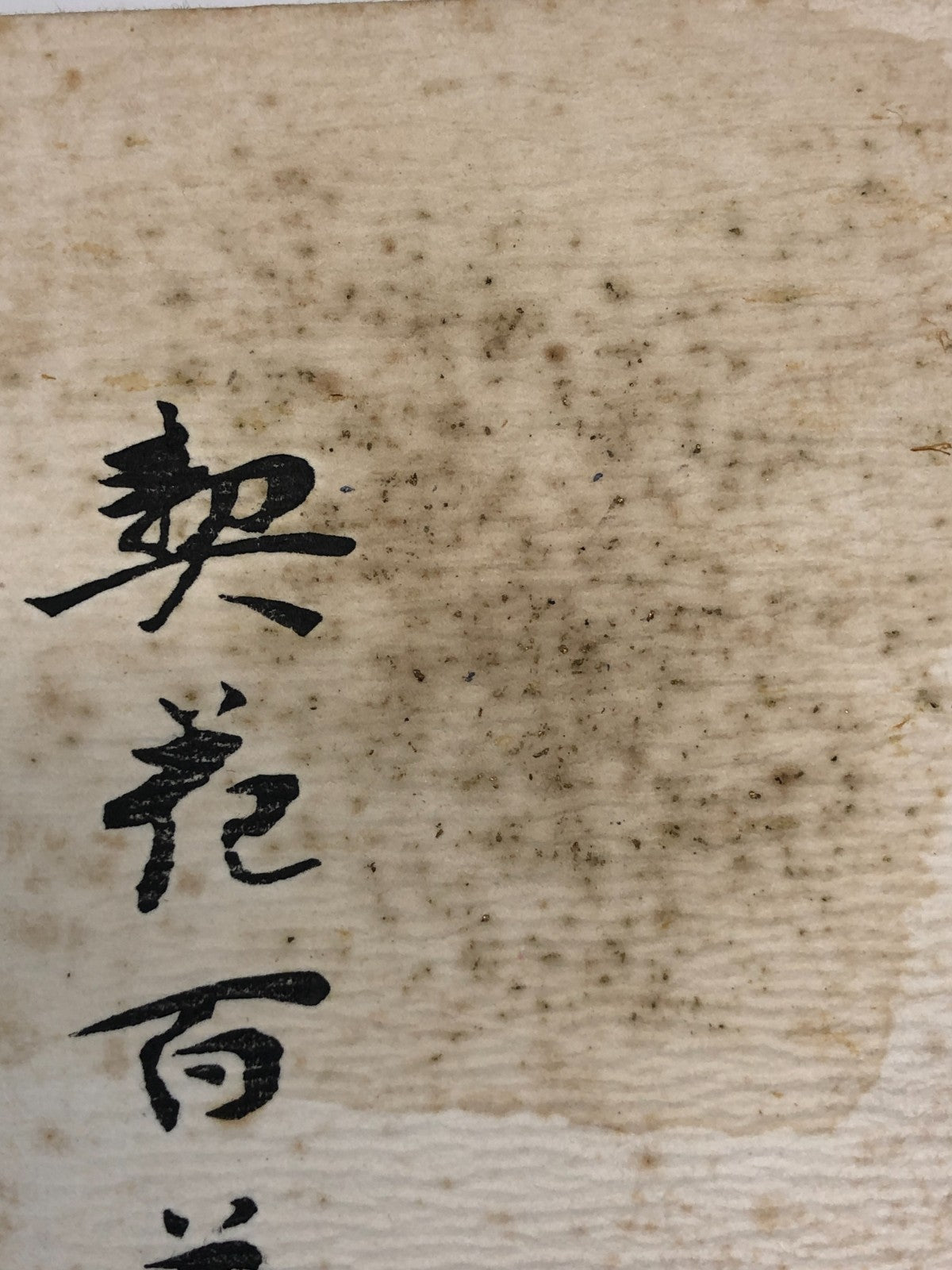 Image #21